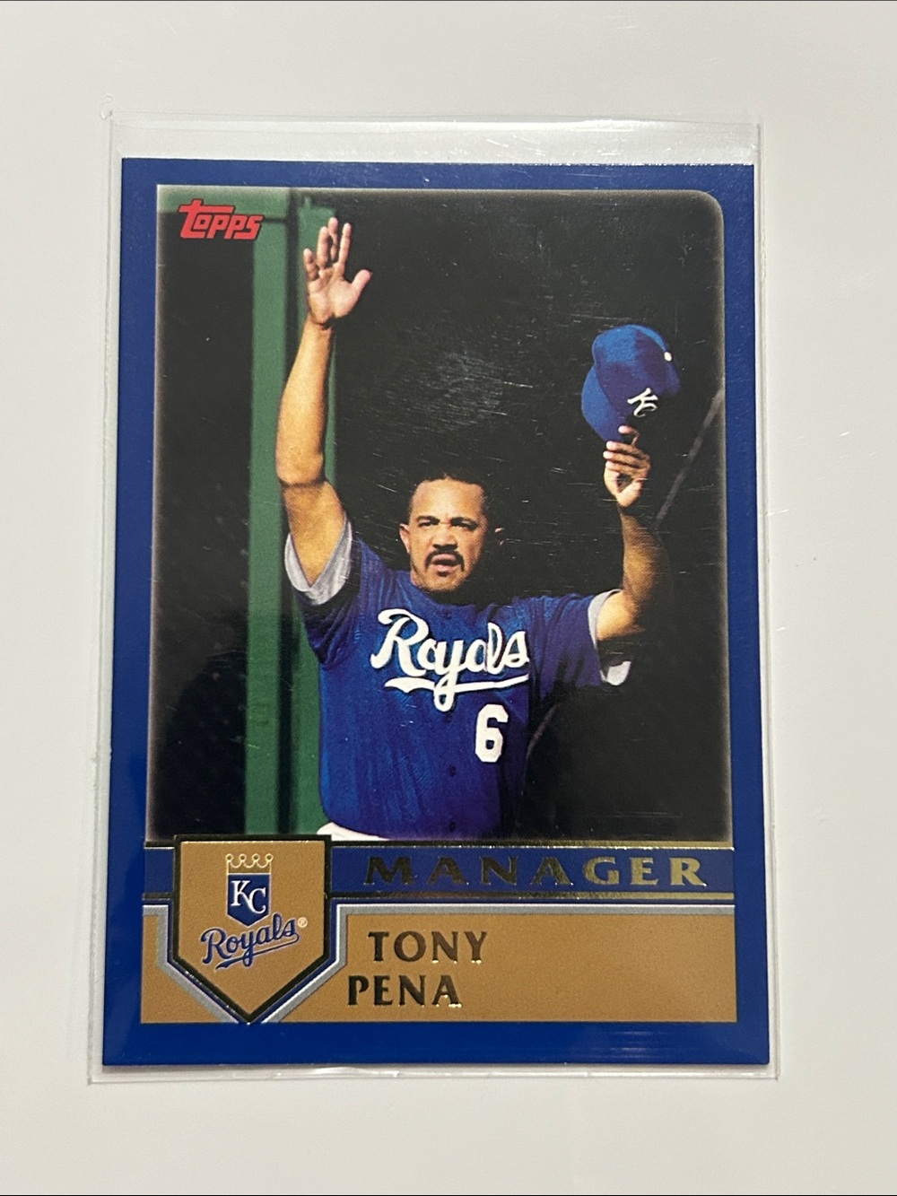 2002 Topps Tony Pena manager card #275